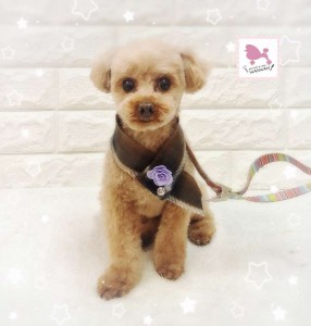 Compress_20260127_160820_0234