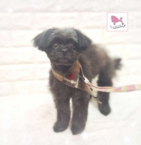 Compress_20260127_160820_0402