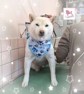 Compress_20260128_160546_6749