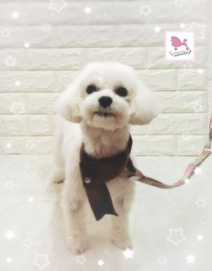 Compress_20260128_160546_6981