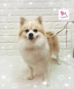 Compress_20260129_150528_8167