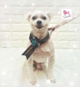 Compress_20260130_171402_2982