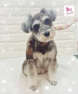 Compress_20260131_152159_9839