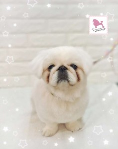 Compress_20260131_152200_0021