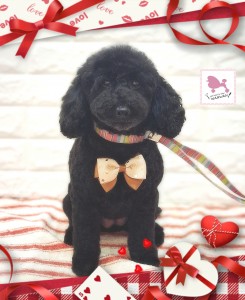 26-02-02-19-05-00-985_deco