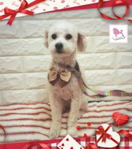 26-02-02-19-08-36-153_deco