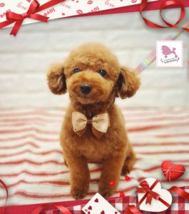 Compress_20260203_195733_3419