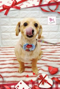 Compress_20260206_180429_9065