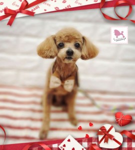 Compress_20260206_180429_9293