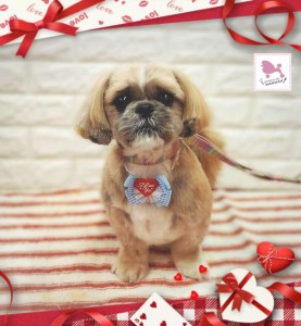 Compress_20260209_211659_9572