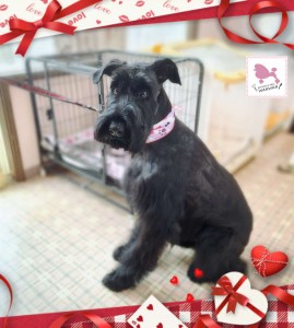 Compress_20260210_134952_2711