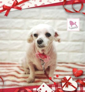 Compress_20260211_174451_1480