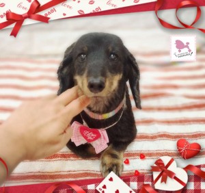 Compress_20260214_024040_0845