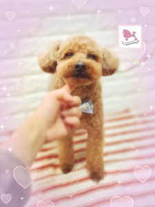 Compress_20260225_213207_7263