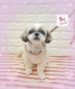 Compress_20260227_103855_5314