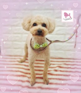 Compress_20260228_164731_1718