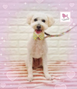 Compress_20260228_164731_1960