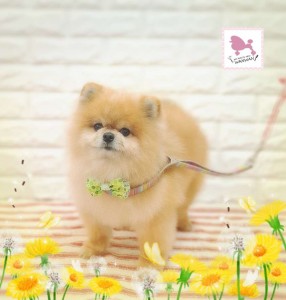 Compress_20260303_113526_6079