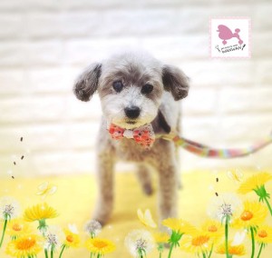 Compress_20260304_192131_1347