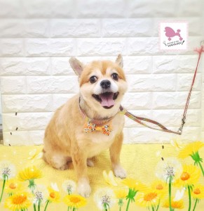 Compress_20260304_192131_1666