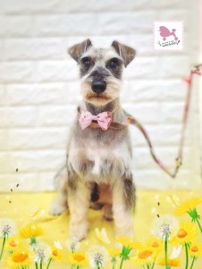 Compress_20260306_195935_5887