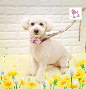 Compress_20260306_195936_6196