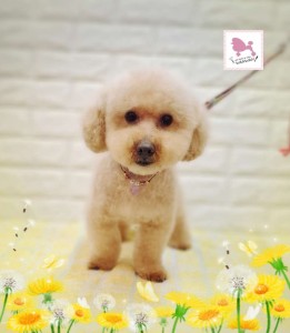 Compress_20260309_181318_8870