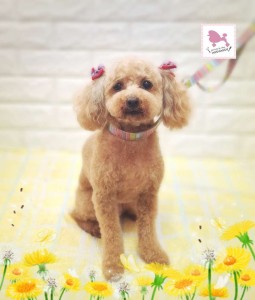 Compress_20260311_105945_5208