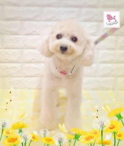 Compress_20260311_212909_9078