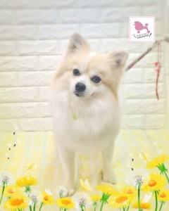 Compress_20260311_212909_9364