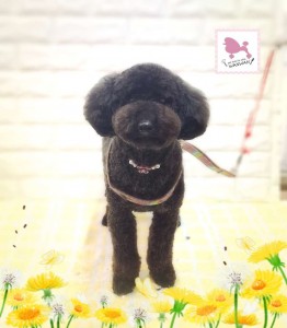 Compress_20260312_195531_1967