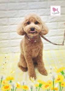 Compress_20260313_191213_3937