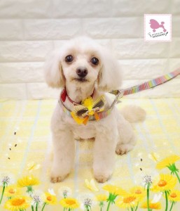 Compress_20260314_171723_3509