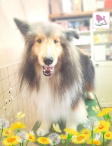 Compress_20260317_164242_2896