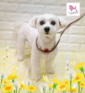 Compress_20260318_214857_7615