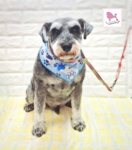 Compress_20260323_213604_4525