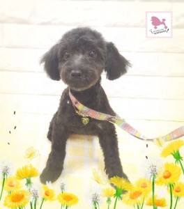 Compress_20260323_213604_4706