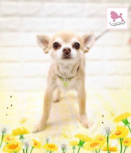 Compress_20260324_210758_8434