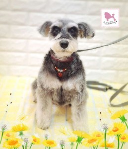 Compress_20260324_210758_8667