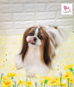 Compress_20260327_182513_3219