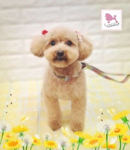 Compress_20260327_182513_3432