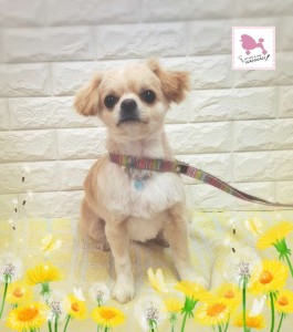 Compress_20260329_080522_2556