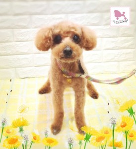 Compress_20260330_150133_3889