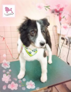 Compress_20260401_155834_4043