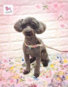 Compress_20260402_203106_6988