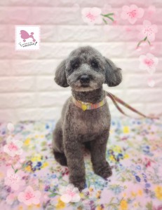 Compress_20260403_184737_7543