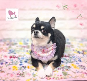 Compress_20260408_093217_7050