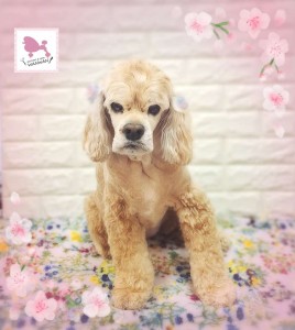 Compress_20260408_162554_4342