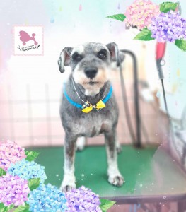 Compress_20260626_172218_8541