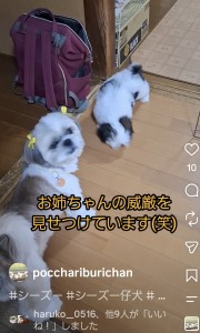 Screenshot_20260826_094612_Instagram
